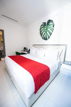 Gran Hotel Europa | Santo Domingo | Gran Hotel Europa, Santo Domingo - Photo Gallery - 24